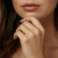 Royal ring 18k gullforgylt stainless steel